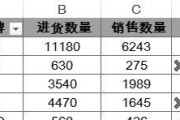 Excel数据透视表教程（快速提取信息）