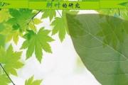显示屏绿色变黄的原因及解决方法？