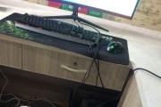 投影仪放大后黑屏怎么办？（解决方案及注意事项）