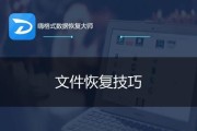 免费文件恢复软件推荐大全（恢复你丢失的文件）