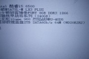 解决电脑玩H1Z1卡顿问题的有效方法（如何优化电脑以流畅运行H1Z1游戏）