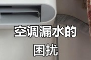 挂壁式空调漏水原因及解决方法（解析挂壁式空调漏水的常见原因及应对措施）