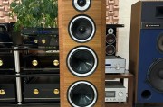 哪些品牌的音箱价格昂贵？贵价音箱的特点是什么？