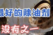 如何使用油烟机清洗剂彻底清洁油烟机（一步一步教你使用油烟机清洗剂）
