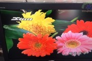 显示器卡顿区域白屏问题的解决方法（轻松应对显示器卡顿区域白屏）