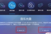新光盘刻录与使用指南（掌握光盘刻录技巧）
