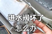 洗衣机不进水的原因及解决方法（解决洗衣机不进水问题的实用技巧）