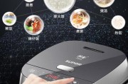 电饭煲煮饭没水的原因及解决方法（遇到电饭煲没水的情况该怎么办）