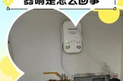热水器排气不转了怎么办（热水器排气系统故障处理方法）