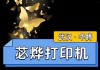 打印机安装出错的解决方法（如何应对打印机安装失败及常见问题解决）