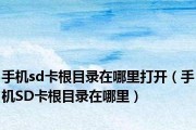 如何授权SD卡作为外置卡根目录（一步步教你授权SD卡为外置卡根目录）