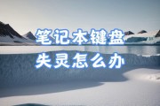 笔记本电脑键盘失灵了怎么办？快速解决方法有哪些？