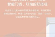 小爱网关如何设置组网密码？设置过程中遇到问题怎么办？