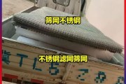 抽油烟机筛网清洗指南（保持油烟机高效工作）
