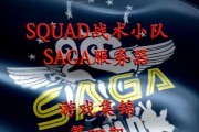 战术战队选择服务器的标准是什么？
