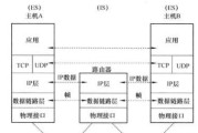 路由器小包数据包有何作用？