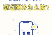 电脑屏幕内发霉的清理方法是什么？