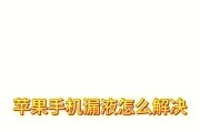 突然断电显示器漏液怎么办（保护显示器及解决漏液问题的方法）