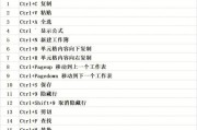 Excel常用快捷键命令大全（提升工作效率的必备技能）