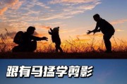 佳能怎么拍人物逆光？逆光拍摄技巧有哪些？
