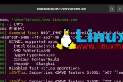 Linux入门基础知识（掌握Linux的基本概念、命令和应用技巧）