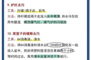 清洁燃气灶的绝佳方法（以环保无毒的方式去除燃气灶油污）