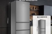 海尔冰箱冷冻室E0故障维修方法（解决冷冻室E0故障的简易步骤及注意事项）