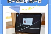 电脑设置一切正常却无声？如何快速解决？