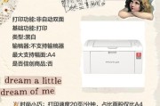 deti打印机的性能如何？使用体验怎么样？