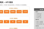 核心网关模式如何进入？