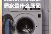 洗衣机漏水问题的原因和解决方法（洗衣机漏水的常见原因及如何解决）