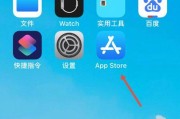 下载飞机苹果手机如何下载？下载和安装的步骤是什么？