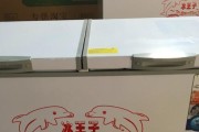 冰柜灯不亮的问题解决方法（冰柜灯不亮如何排查和修复故障）