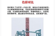 相机拍摄时为何会出现全白画面？
