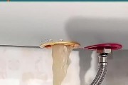 燃气热水器的正确清洗方法（保持安全使用的关键步骤）