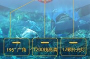 如何用手机控制电脑摄像头探鱼？操作流程是怎样的？