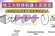 哈大研究了哪些类型的机器人？这些机器人的特点是什么？