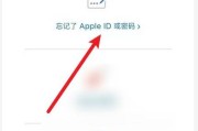 苹果手机ID密码忘记怎么办（解决方法大揭秘）