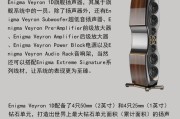 维斯塔1号音箱的性能如何？选购时应该考虑哪些因素？