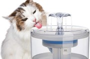 如何彻底清洗猫咪饮水机（简单有效的清洗方法与步骤）