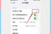 苹果手机长按识别功能如何使用？直接翻译效果如何？