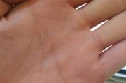 苹果手机如何设置手掌拍照？手掌拍照功能有什么特点？