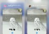 小艺语音拉会、会议接续…一文告诉你，钉钉在鸿蒙 5 上有哪些全新升级