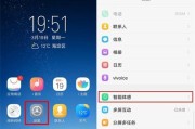 vivo手机如何设置境外来电？设置境外来电的步骤是什么？