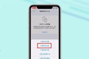 苹果蜂窝网络共享开启方法是什么？设置中常见问题如何解决？