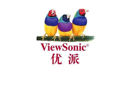 如何解决迷你投影仪红屏问题（一步步解决迷你投影仪红屏困扰）