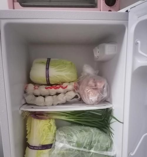冰柜囤菜收纳方法（让冰柜成为食材储存的好帮手）
