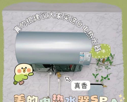 电热水器热水不出水的原因及维修方法（解决热水器不出水问题的实用技巧）