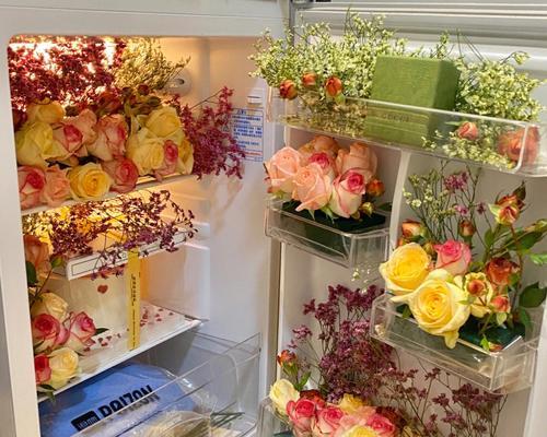冰柜鲜花收纳方法（让鲜花更持久的收纳方式）