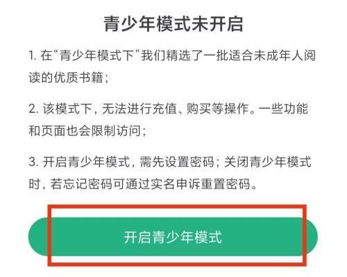 手机青少年模式设置指南（如何为青少年正确设置手机青少年模式）